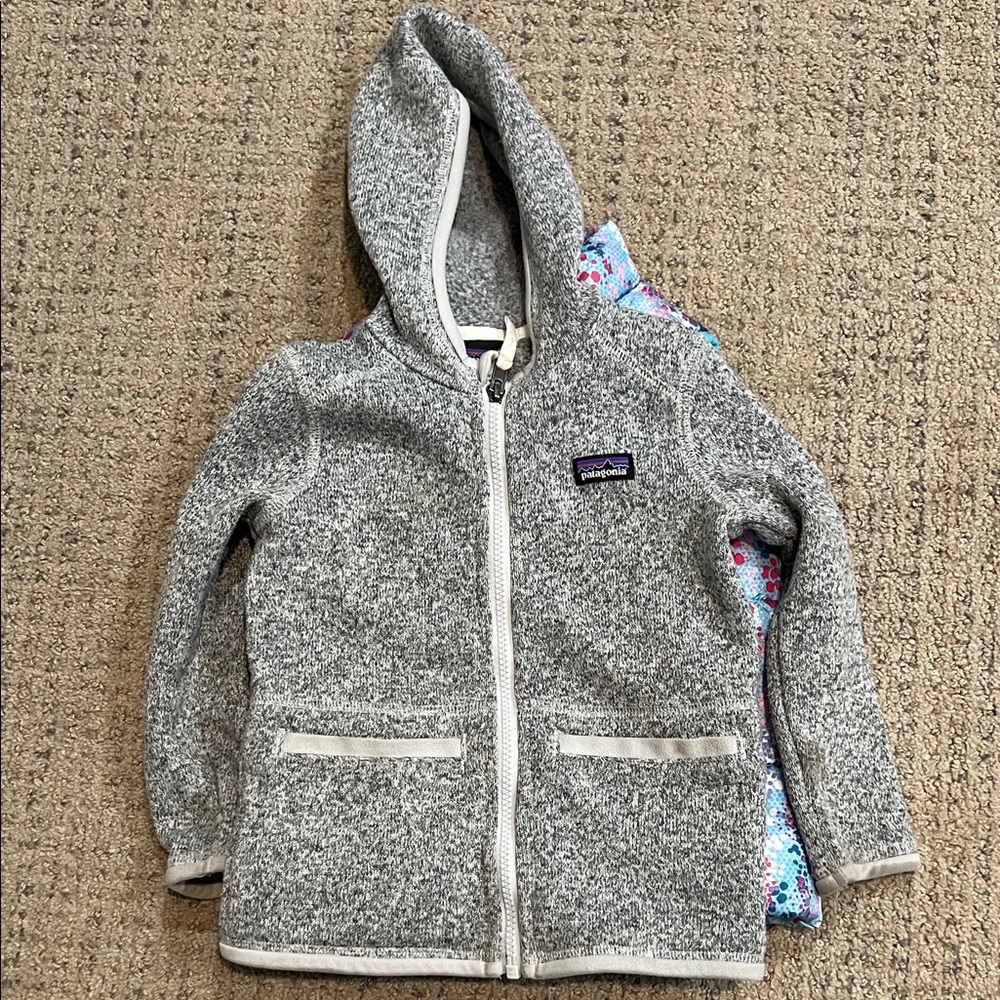 Patagonia Kids' Gray Full-Zip Hoodie